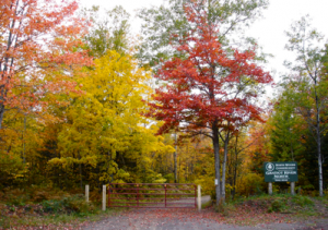 Fall Color Classic - 8k Fundraiser