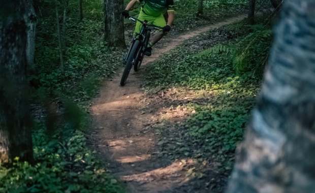 Sweedtown Trails Mountain Biking